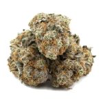 Dr. Cookies AAA - Hybrid - Image 2