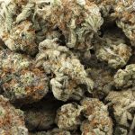 Dr. Cookies AAA - Hybrid - Image 3