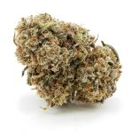 Berry Exotic AA - Hybrid