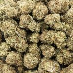 Berry Exotic AA - Hybrid - Image 3