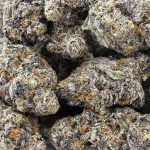 Purple MOB Craft - Indica - Image 3