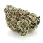 Triangle Octane AAA - Indica