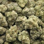 Wholesale - Cherry Breath - AAAA