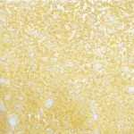 Shatter - Lemon Maraschino - Hybrid - Image 2