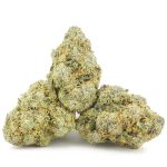 Wholesale - Mango Mimosa - AAAA - Image 2