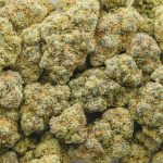 Mango Mimosa AAAA - Sativa - Image 3