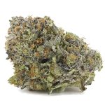 Master Skunk AAA - Hybrid