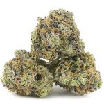 Master Skunk AAA - Hybrid - Image 2