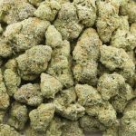 Wholesale - Pink Lady - AAA