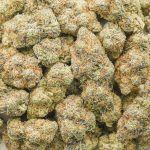 Slap N Tickle Craft - Indica - Image 3