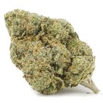 Super Northern Haze AAA - Sativa