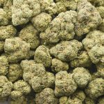 Super Northern Haze AAA - Sativa - Image 3