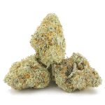 Zootiez AAA - Hybrid - Image 2