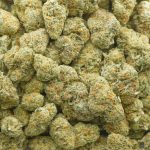 Wholesale - Zootiez - AAA