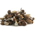 Wholesale Shrooms - Blue Meanies