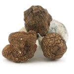 Wholesale - Shrooms - Tidal Wave - Image 2