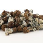 Shrooms - Vietnamese - Image 2