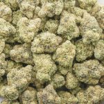 Wholesale - Alien OG - Craft