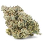 Banana Cream Cake AA - Indica
