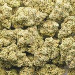 Girl Scout Candy AAAA - Indica - Image 3