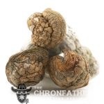 Wholesale - Shrooms - Thrasher - Image 2