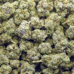 Peanut Butter Cookies AAA - Indica - Image 3