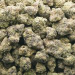 Pineapple Hindu Zkittlez AAAA - Indica - Image 3