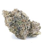 Black Domina 98 AAAA - Indica