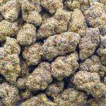 Blue Candy Gelato Craft - Hybrid - Image 3