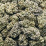 Cake Bomb Craft - Indica - Image 3