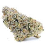 Wholesale - Gelatti Kush Mintz - Craft - Image 3