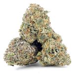 Ice Cream Sundae Craft - Indica - Image 2