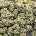 Wholesale - Ice Cream Sundae - Craft