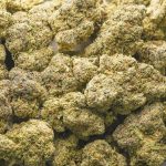 Cookie Crisp AAAA - Hybrid - Image 3