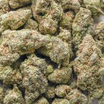 Wholesale - Frosted Donut - AAA