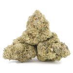 Jungle Fire AAA - Hybrid - Image 2