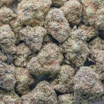 Wholesale - Mango Punch - AAAA