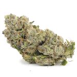 Rockstar Tuna AA - Indica