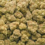 Love Potion #1 AAA - Sativa - Image 3