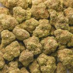 Sour Jedi AA - Sativa - Image 3