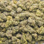 Big Bubba Diesel AA - Indica - Image 3