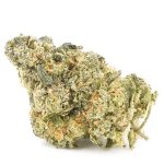 Girl Scout Cookies AA - Indica