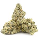 Girl Scout Cookies AA - Indica - Image 2