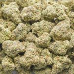 Wholesale - MAC1 - AAA