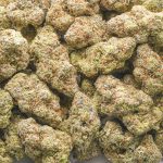 Red Velvet Runtz AAAA - Indica - Image 3