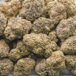 Tundra Skunk AAAA - Hybrid - Image 3