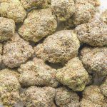 Wedding Cake AAA - Indica - Image 3