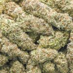 Wholesale - Death Bubba - AAAA