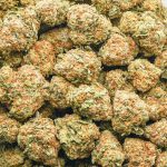 Wholesale - Vanilla Haze - AA