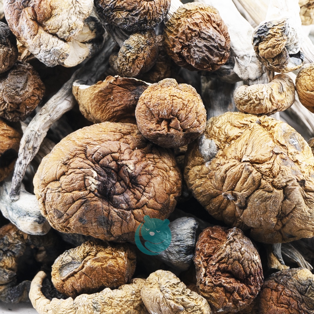 buy-weed-online-dispensary-west-coast-releaf-shrooms-trinity-wholesale.jpg